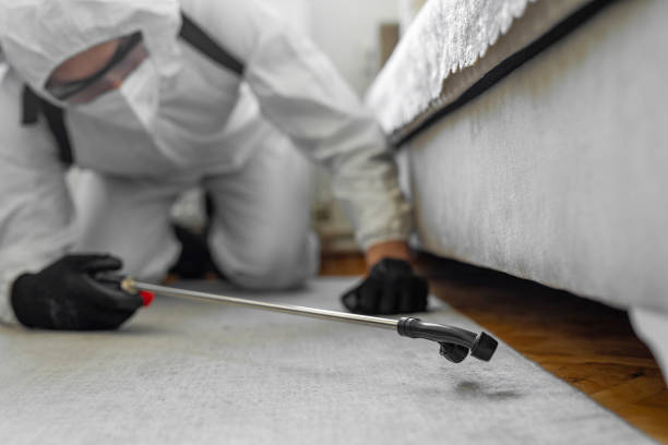 Professional Pest Control technician working in Windsor County County, VT